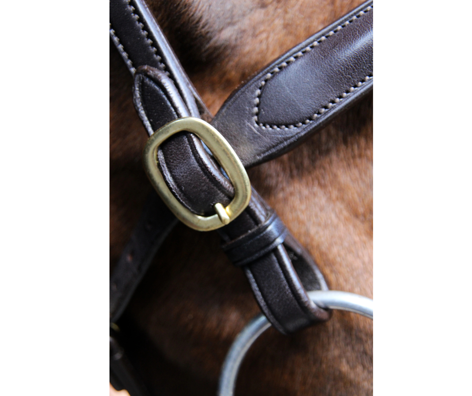 Classic In hand Bridle