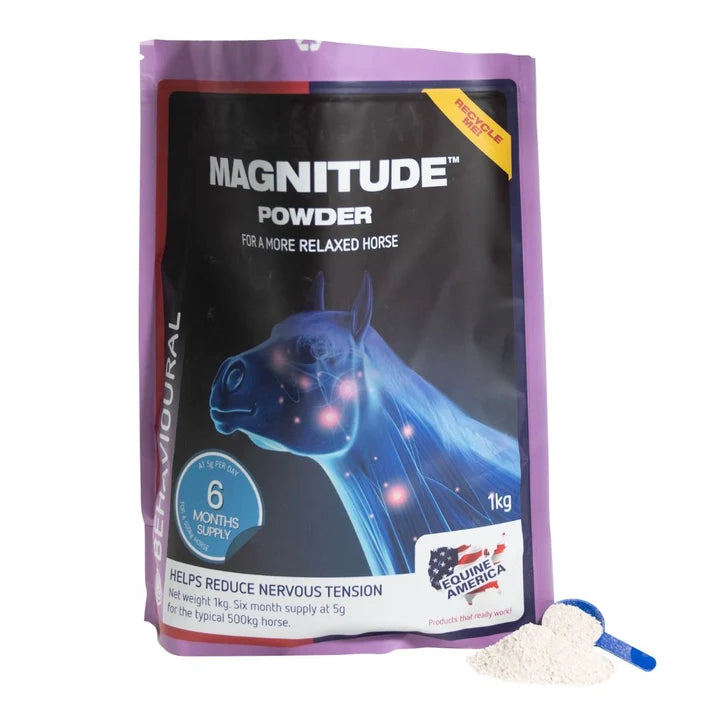 Magnitude 1kg