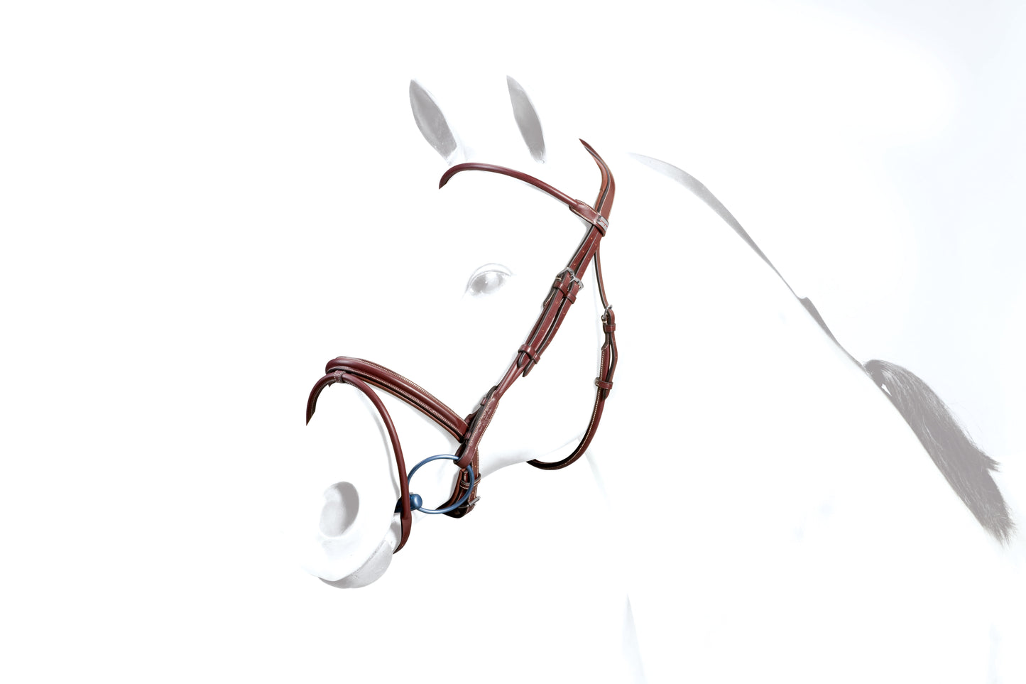 FLASH BRIDLE ROLLED- Black- Cob