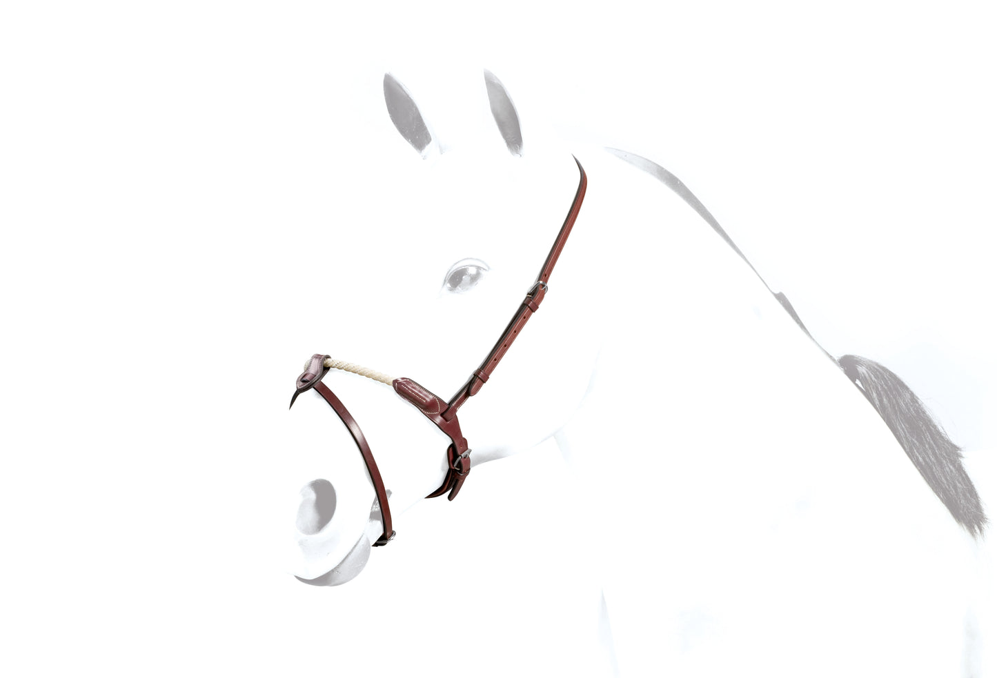 HANNOVERIAN NOSE BAND ROPE - Black - Cob