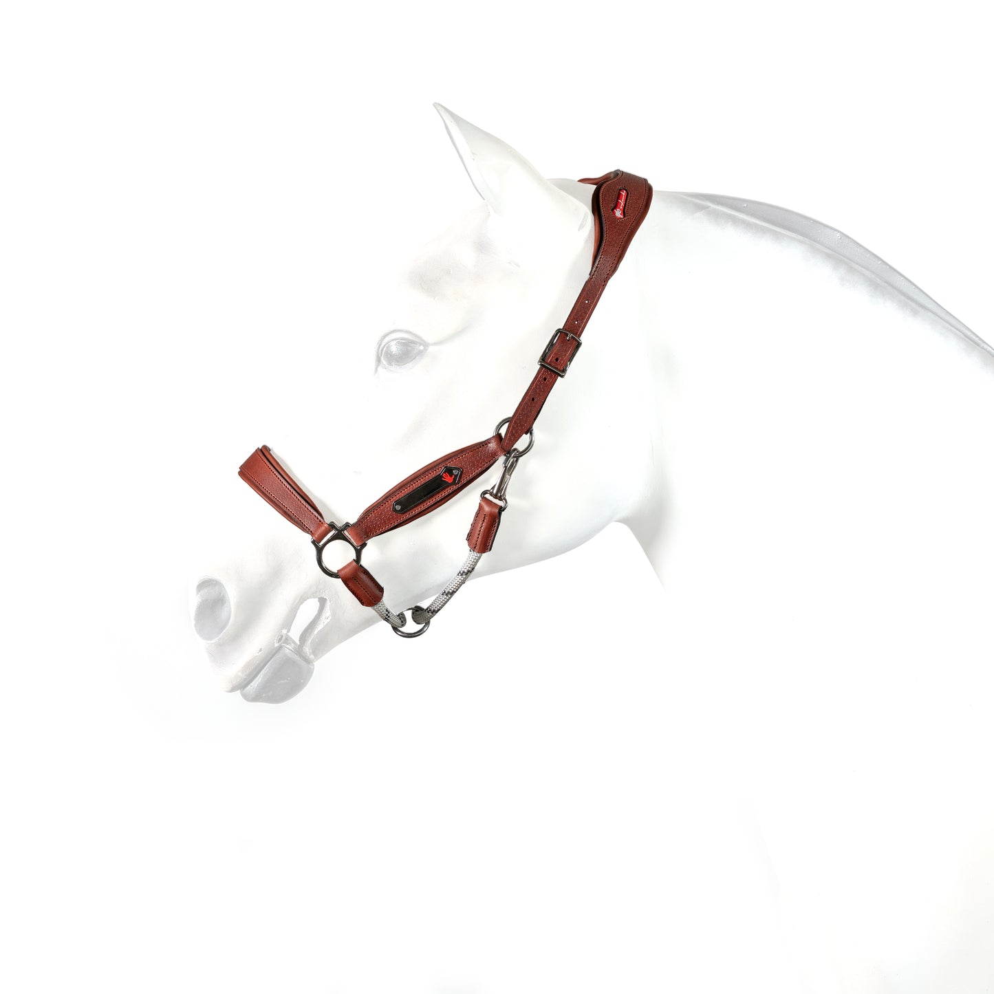 EQUIPE ANATOMICAL HALTER with NAMEPLATE- Red brown - White/B