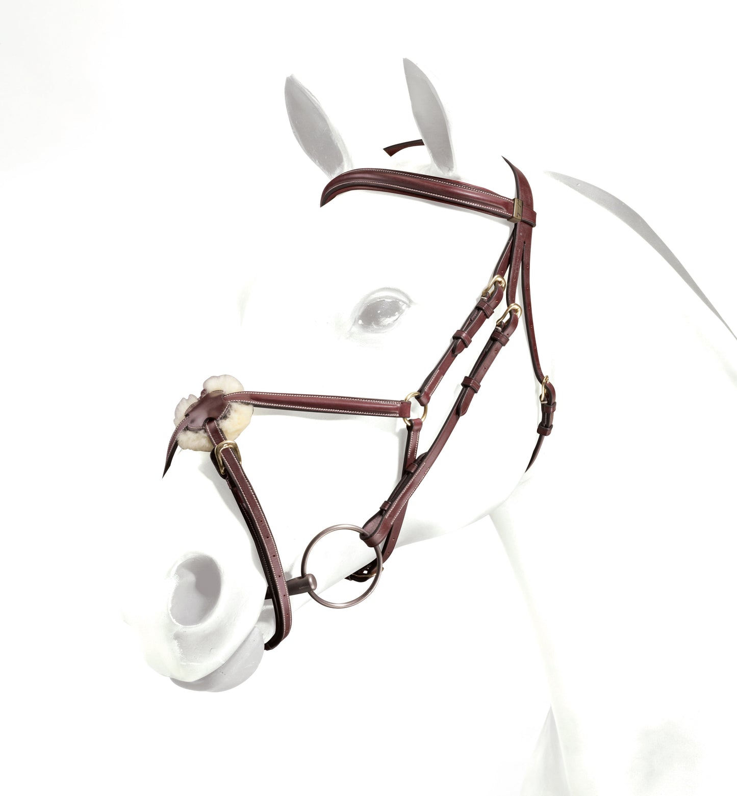 EMPORIO GRACKLE BRIDLE - SILVER FITTINGS - Red/Brown - Cob