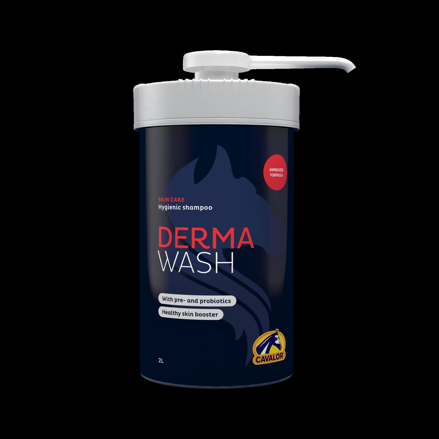 DERMA WASH 2L JAR + PUMP