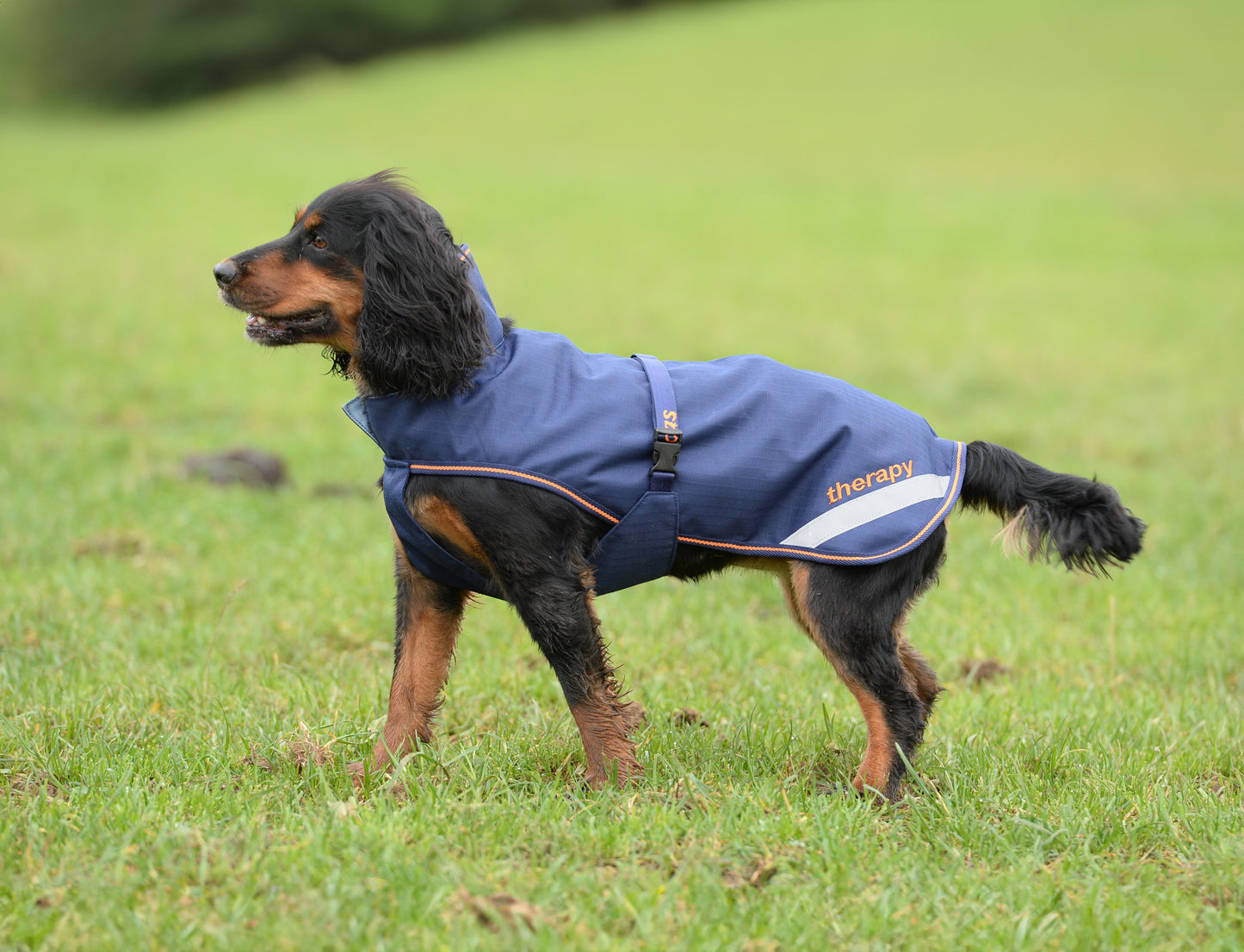 BUCAS THERAPY DOG RUG 150 LARGE- Navy/Orange-51- 26'' (65)