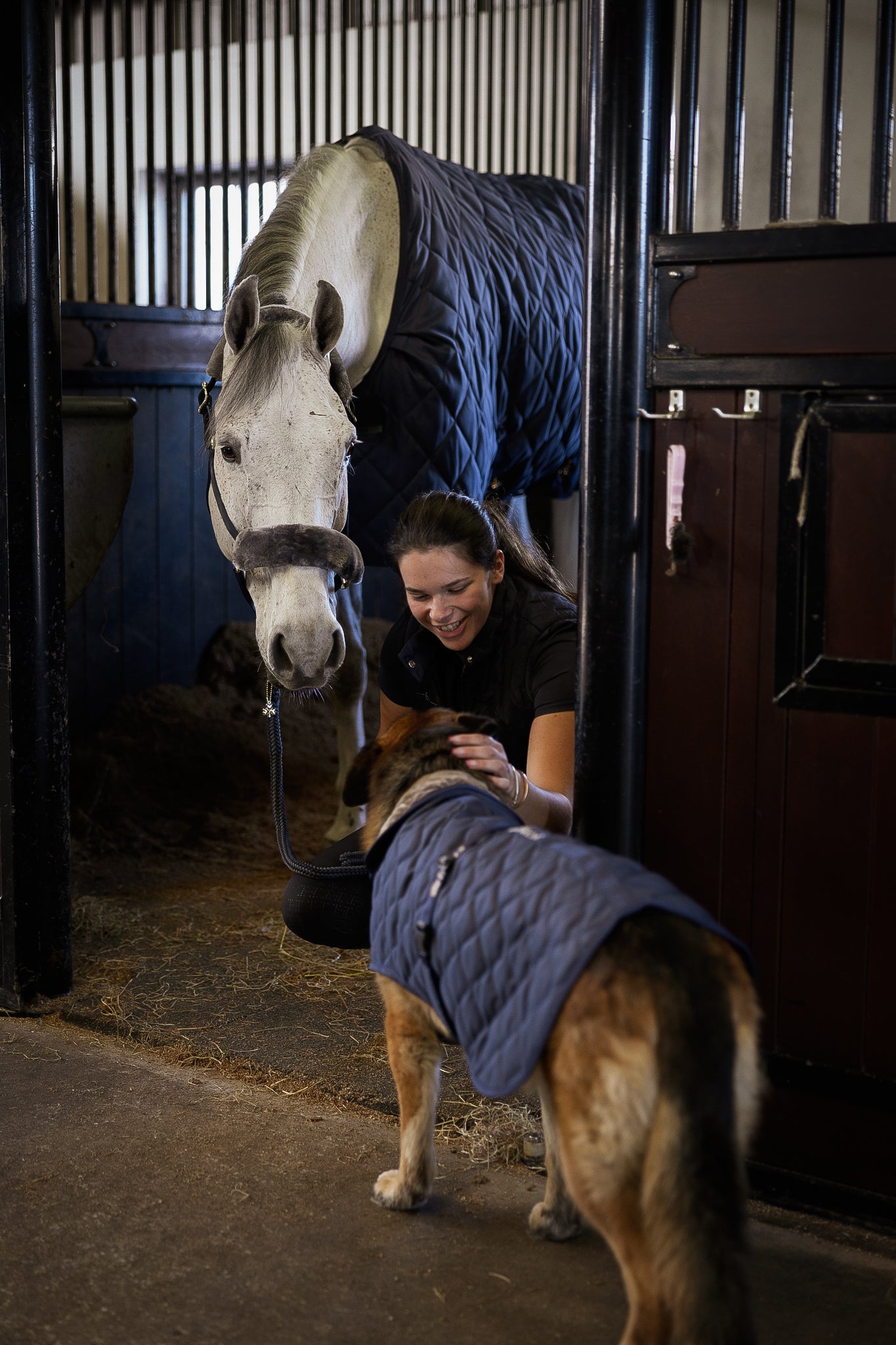 BUCAS COSY STABLE- Navy-89- 6'0 (135)