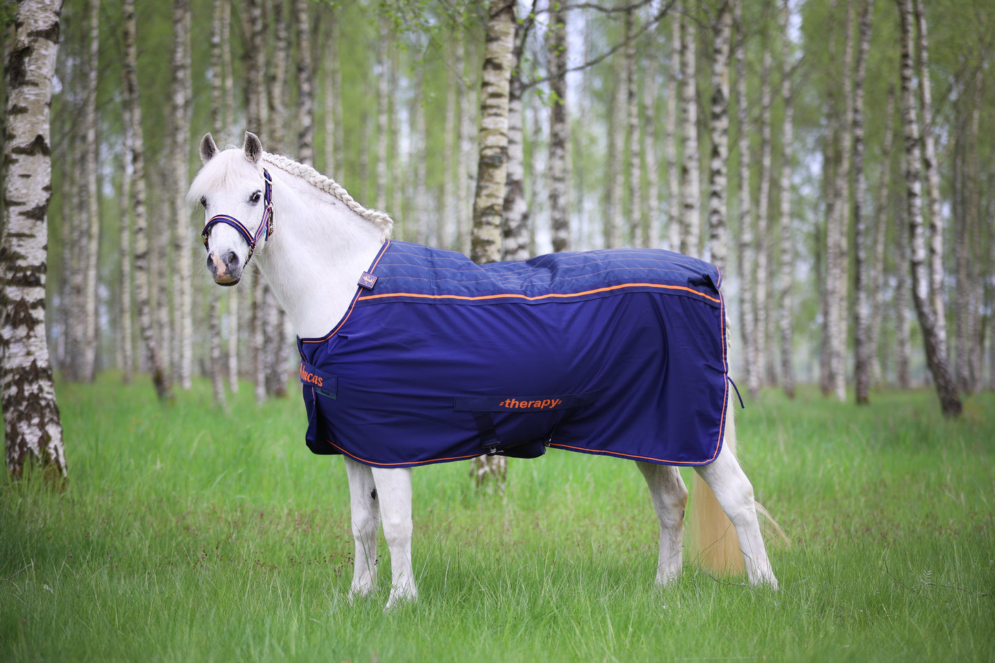 BUCAS THERAPY COOLER PONY- Navy/Orange-51- 3'9 (90)