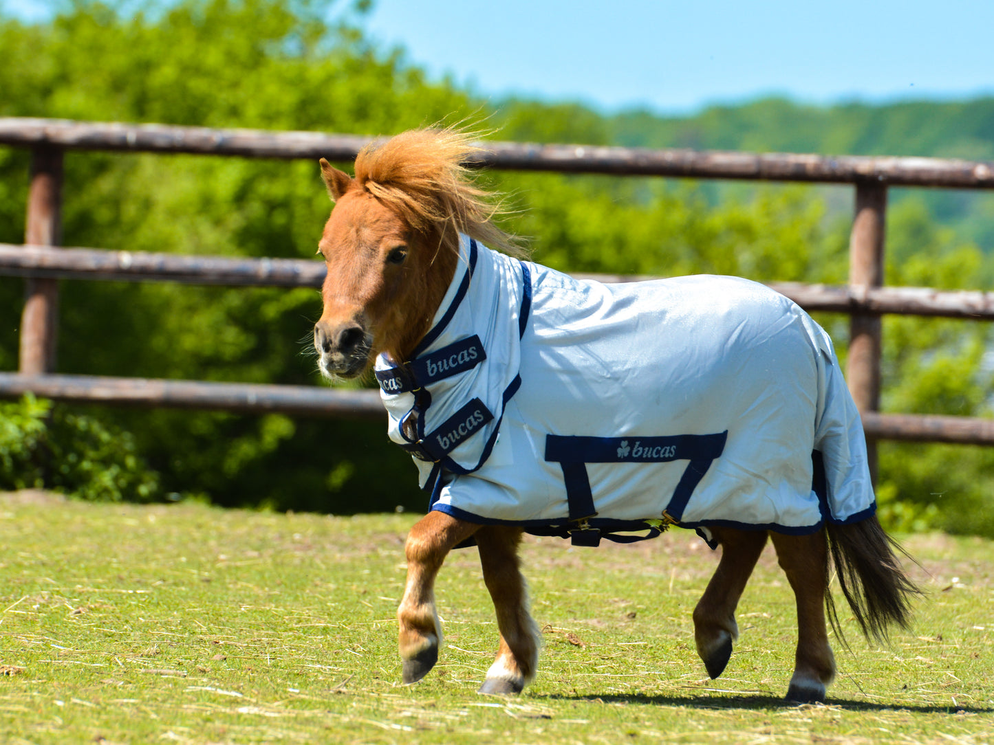 FREEDOM FLY SHEET PONY- Silver-15- 5'0 (115)