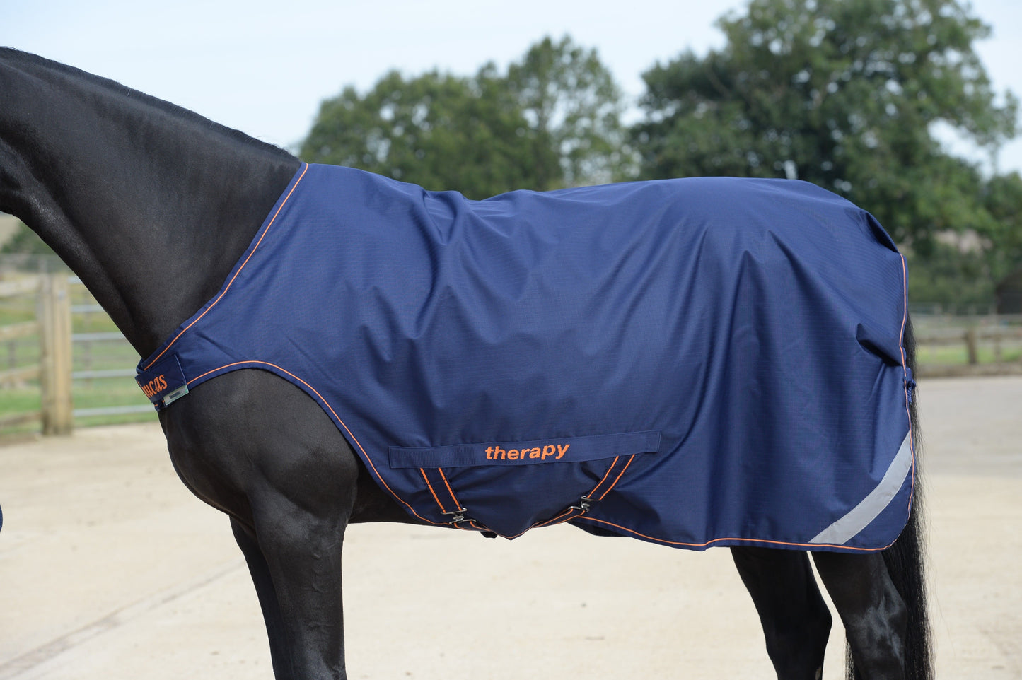 BUCAS THERAPY LINER- Navy/Orange-51- 5'9 (130)