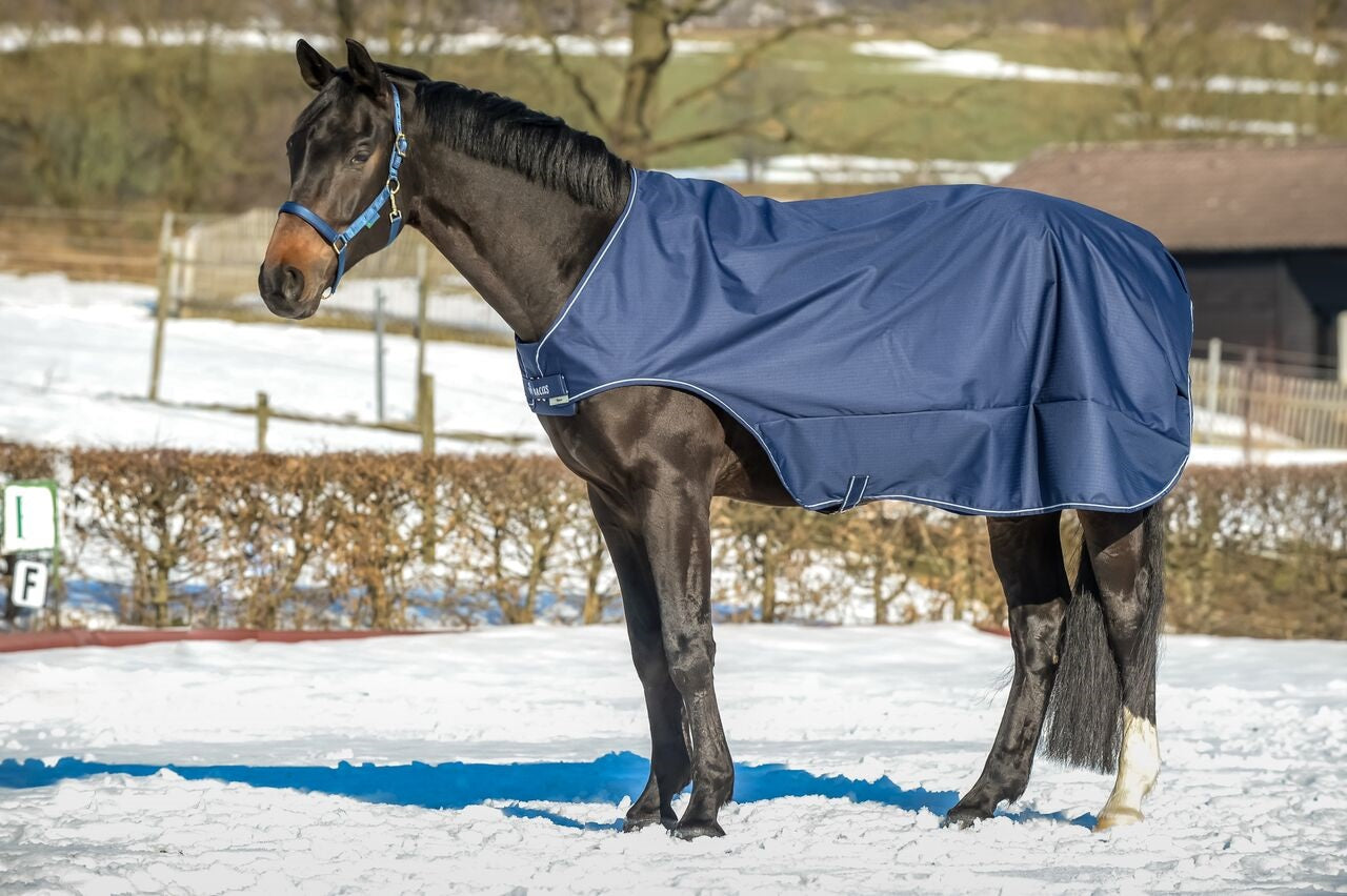 BUCAS WALKER RUG- Navy/Silver - 62- XL
