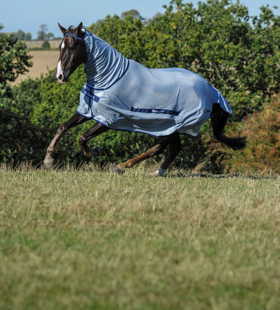 BUZZ-OFF DETACHABLE NECK- Silver/Blue-02- 5'9 (130)