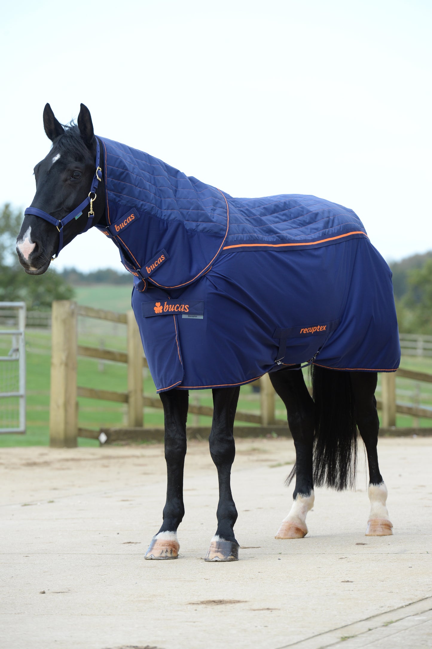 BUCAS THERAPY COOLER NECK- Navy/Orange-51- M