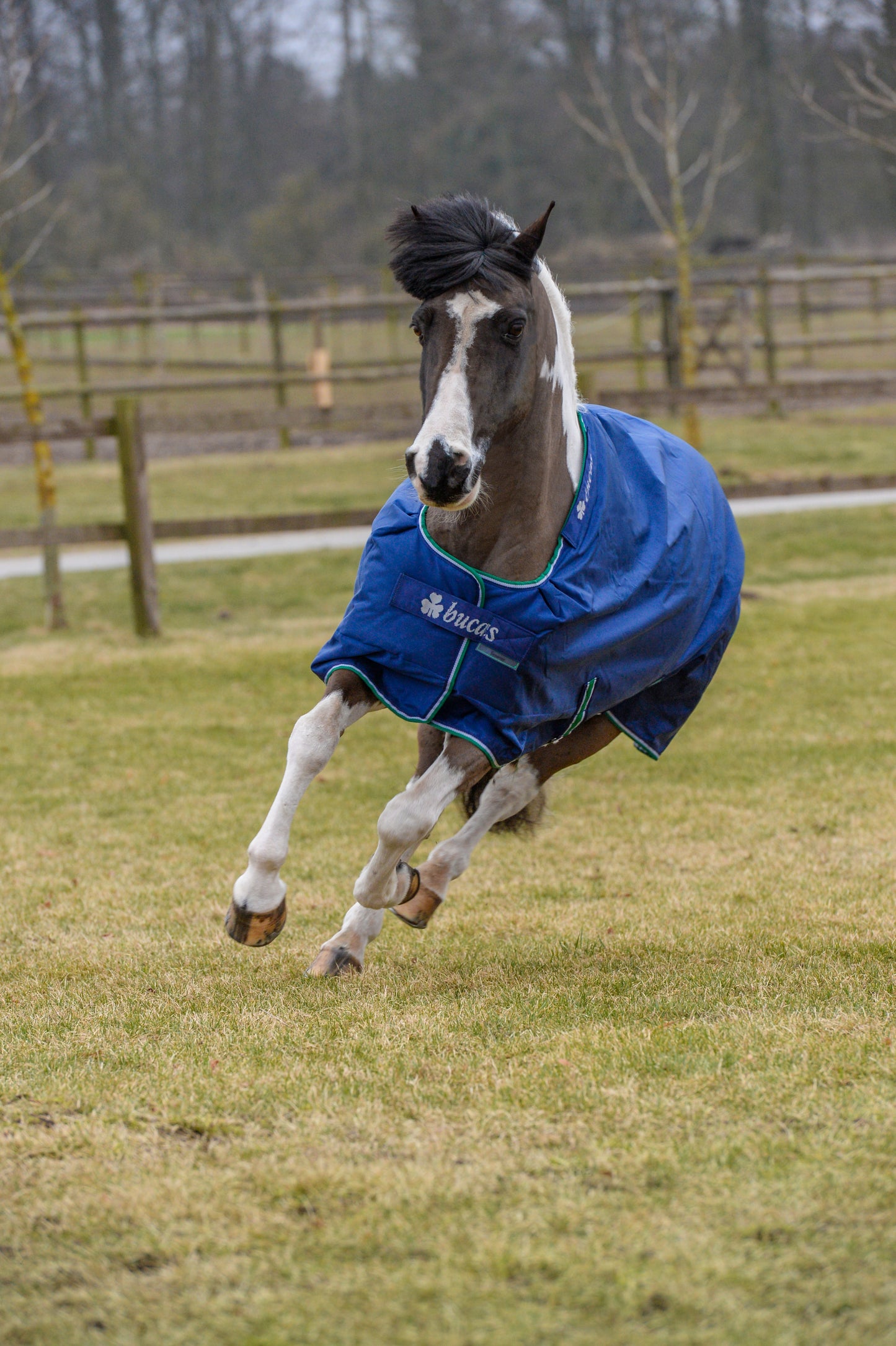 SMARTEX RAIN PONY- Blue-02- 5'3 (120)