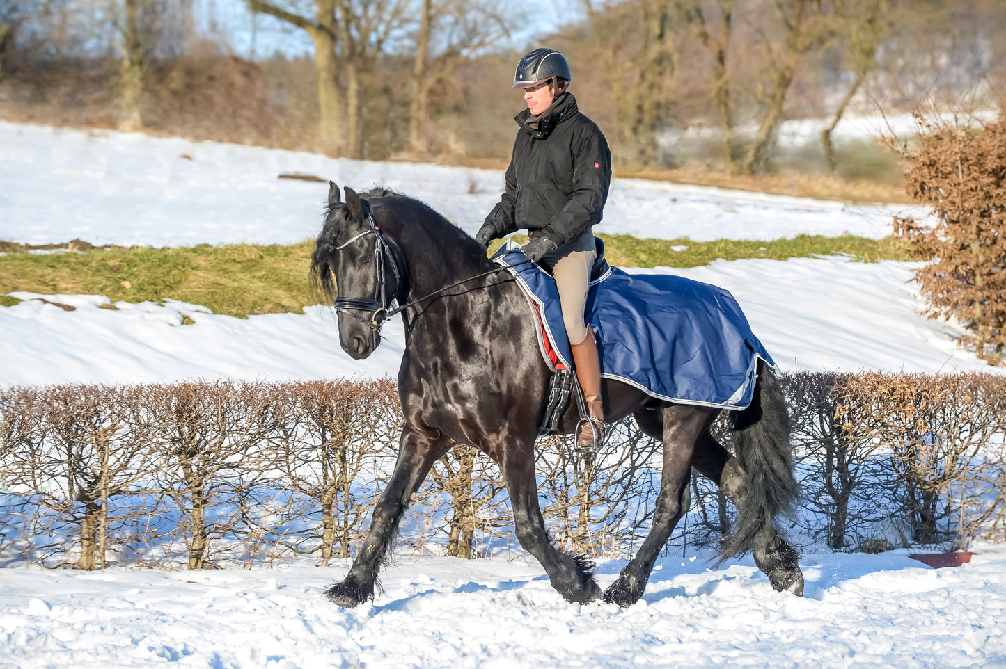 BUCAS RIDING RUG- Navy/Silver - 62- XL