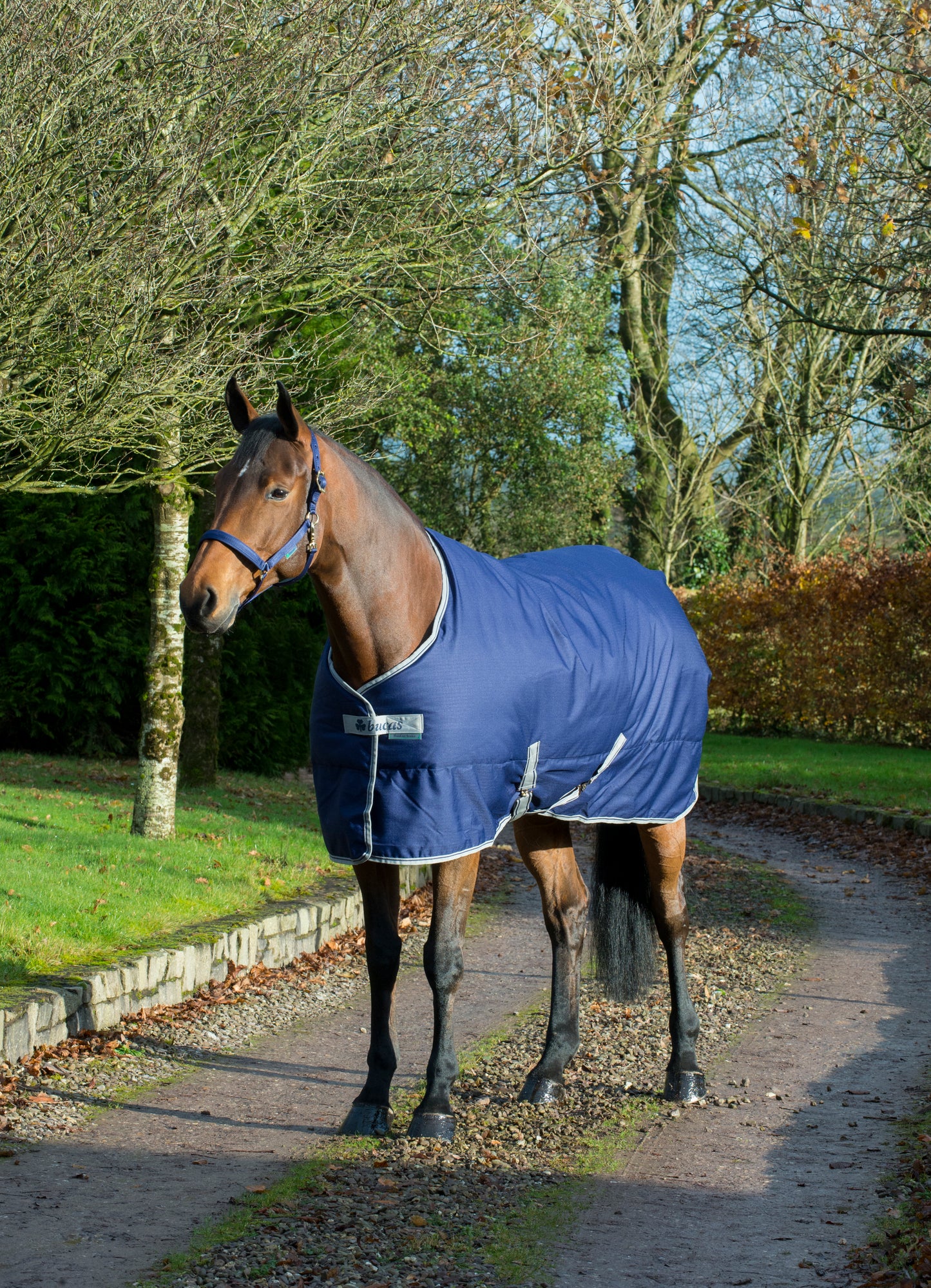 FREEDOM STABLE 150- Navy-62- 7'0 (165)
