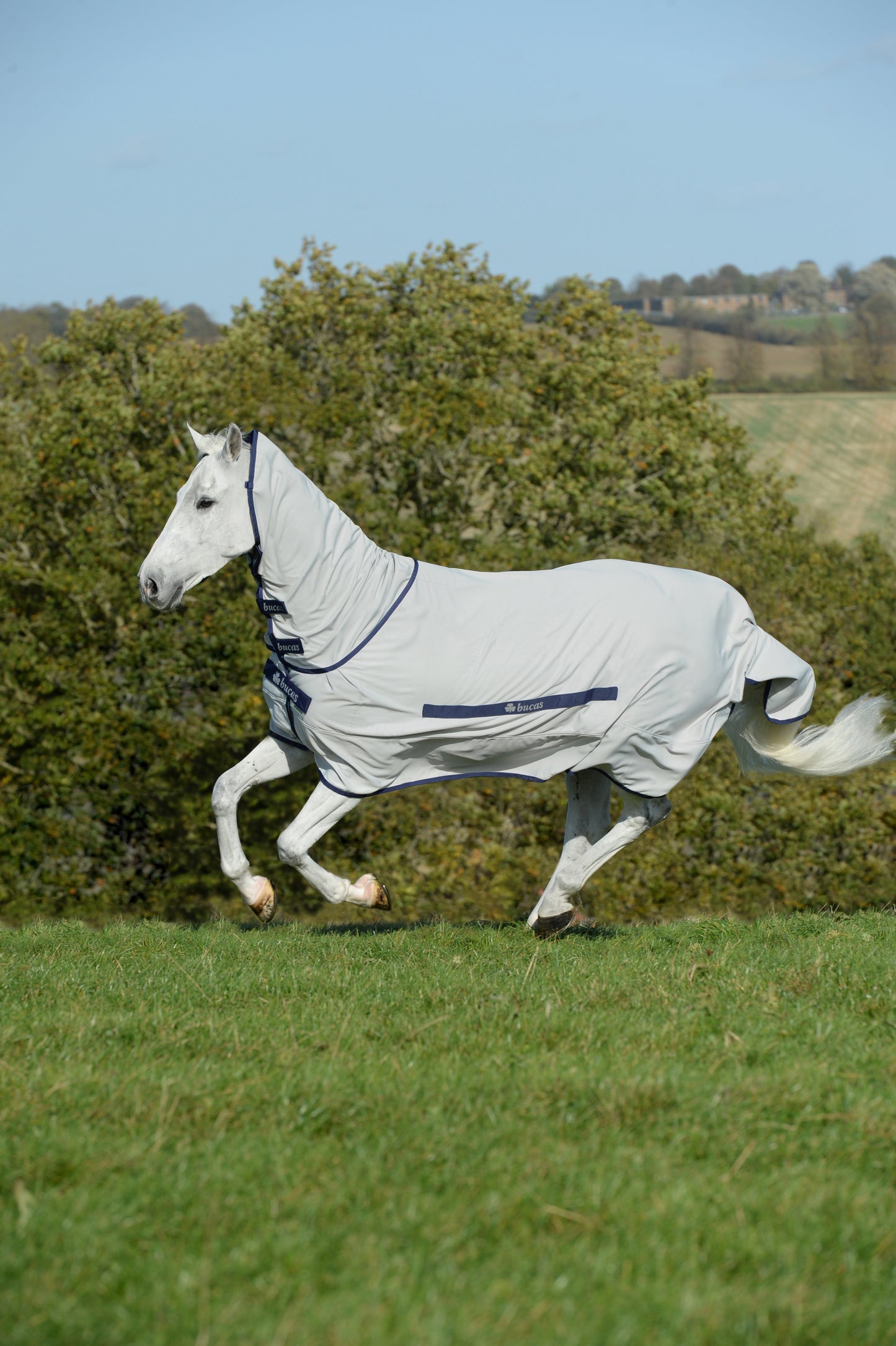 SWEET-ITCH PONY- Silver-15- 4'9 (110)