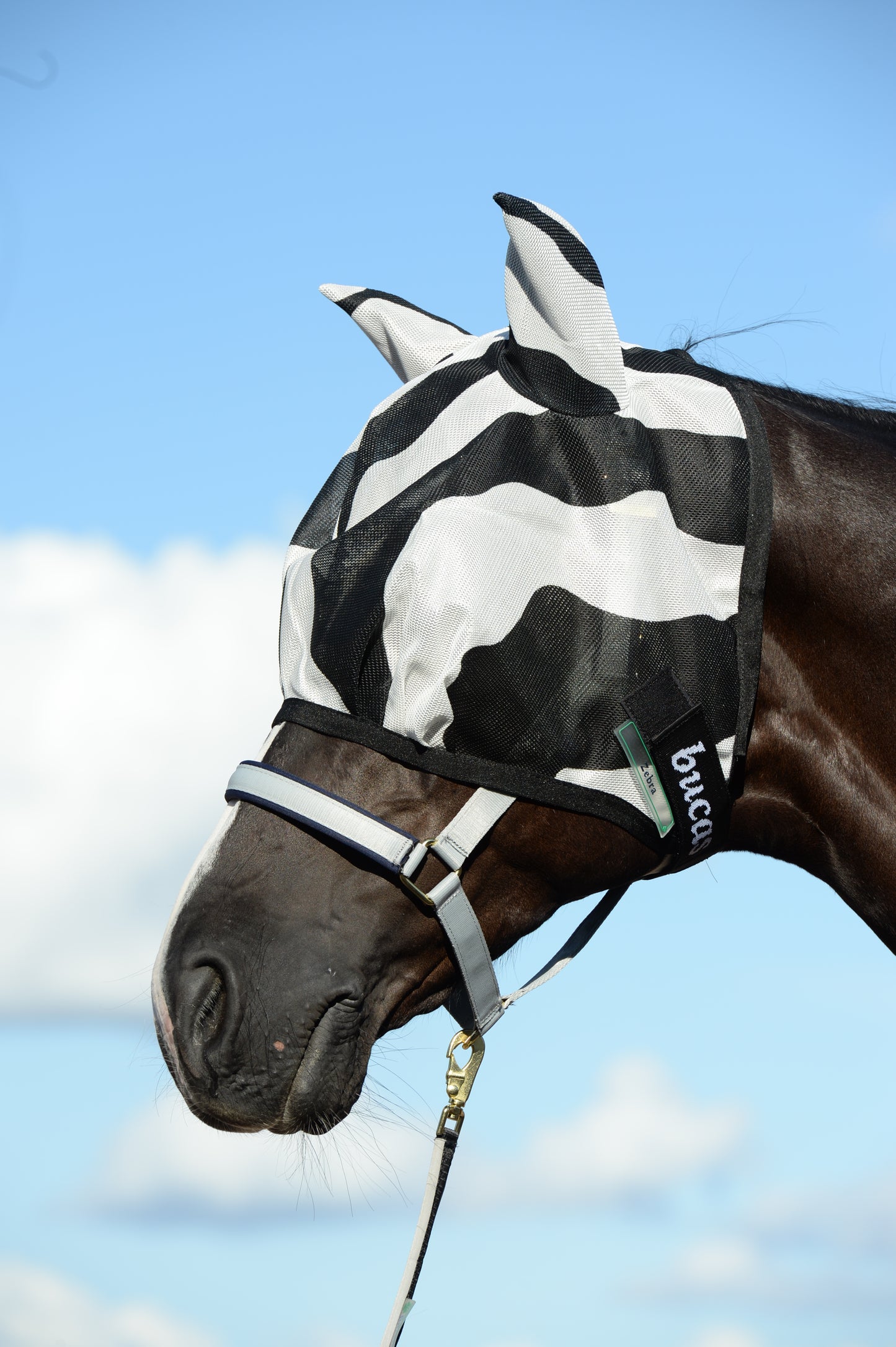 BUZZ-OFF ZEBRA FLY MASK - Single- Zebra Print-80- XXXS