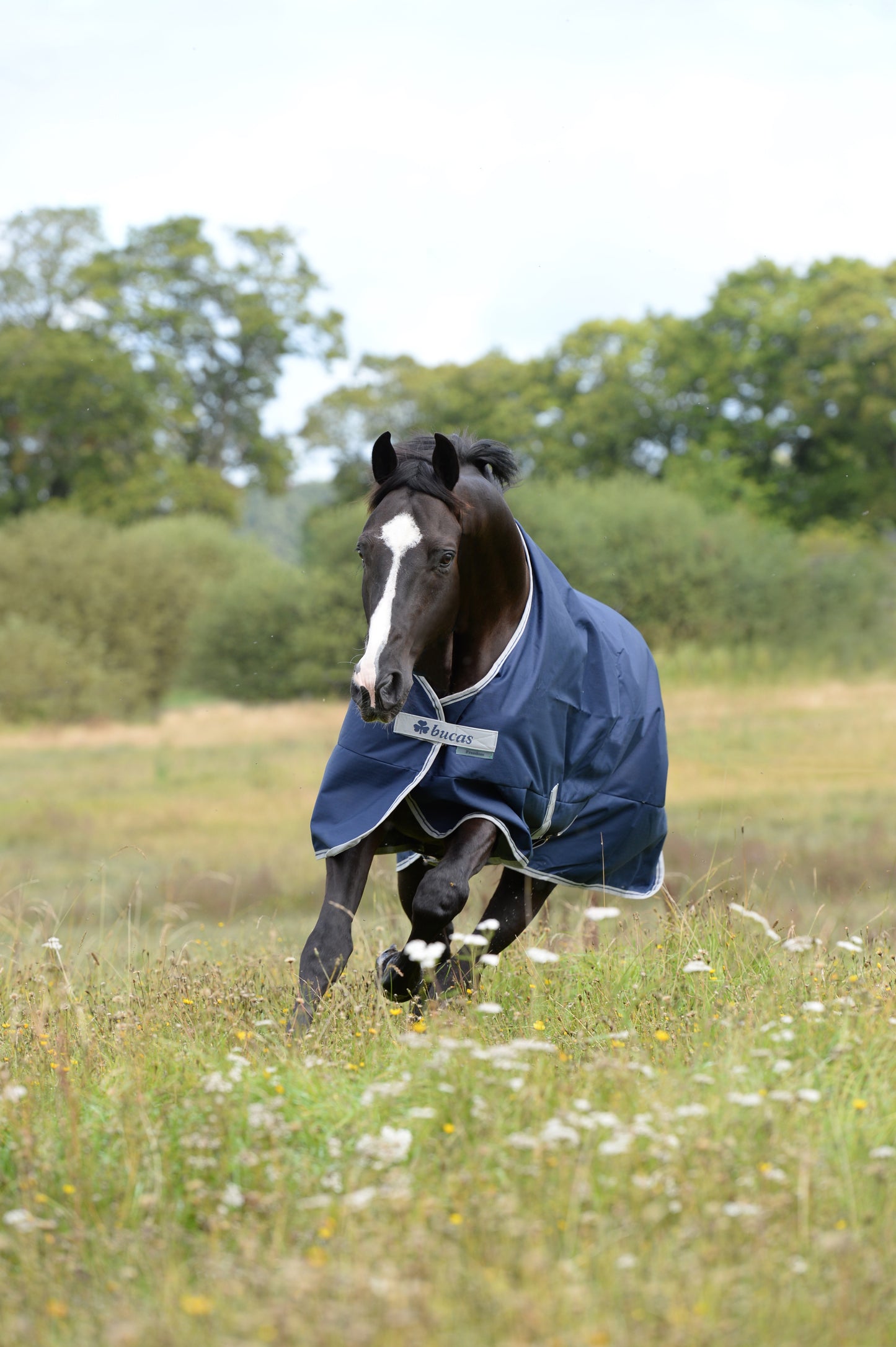 FREEDOM TURNOUT 300 PONY- Navy-62- 4'9 (110)