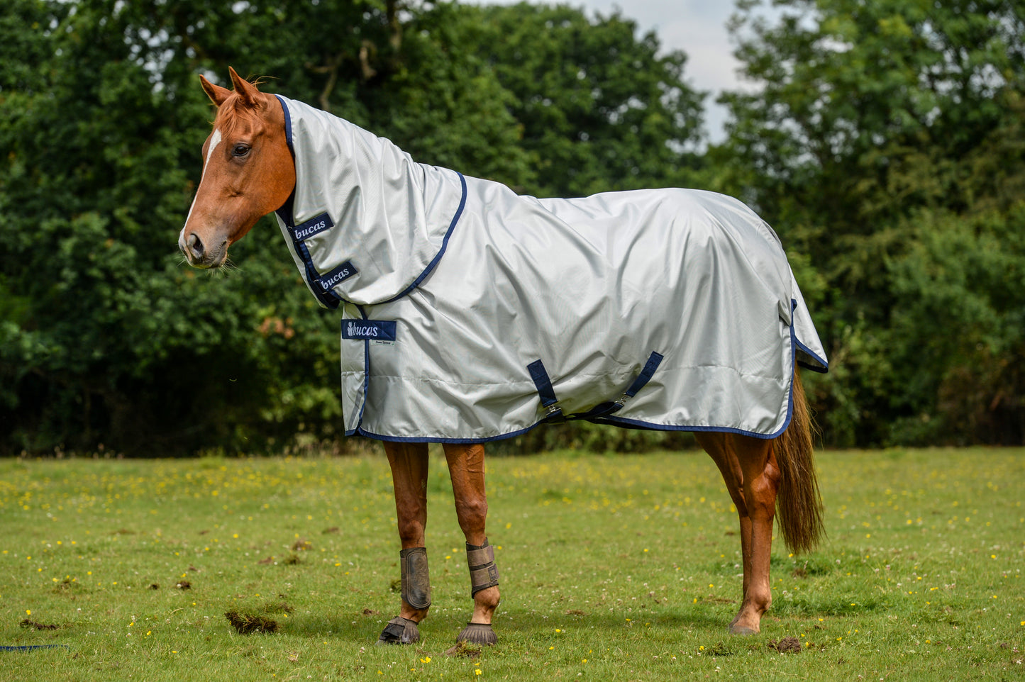 POWER TURNOUT COMBI NECK 300- Silver-15- L