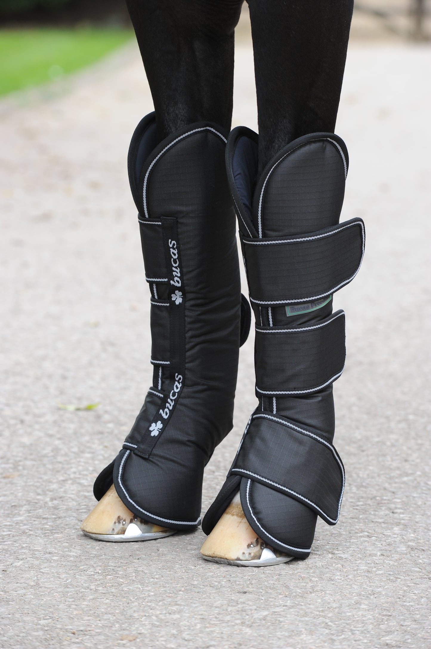 FREEDOM TRAVEL BOOTS - Black-04 - Pony