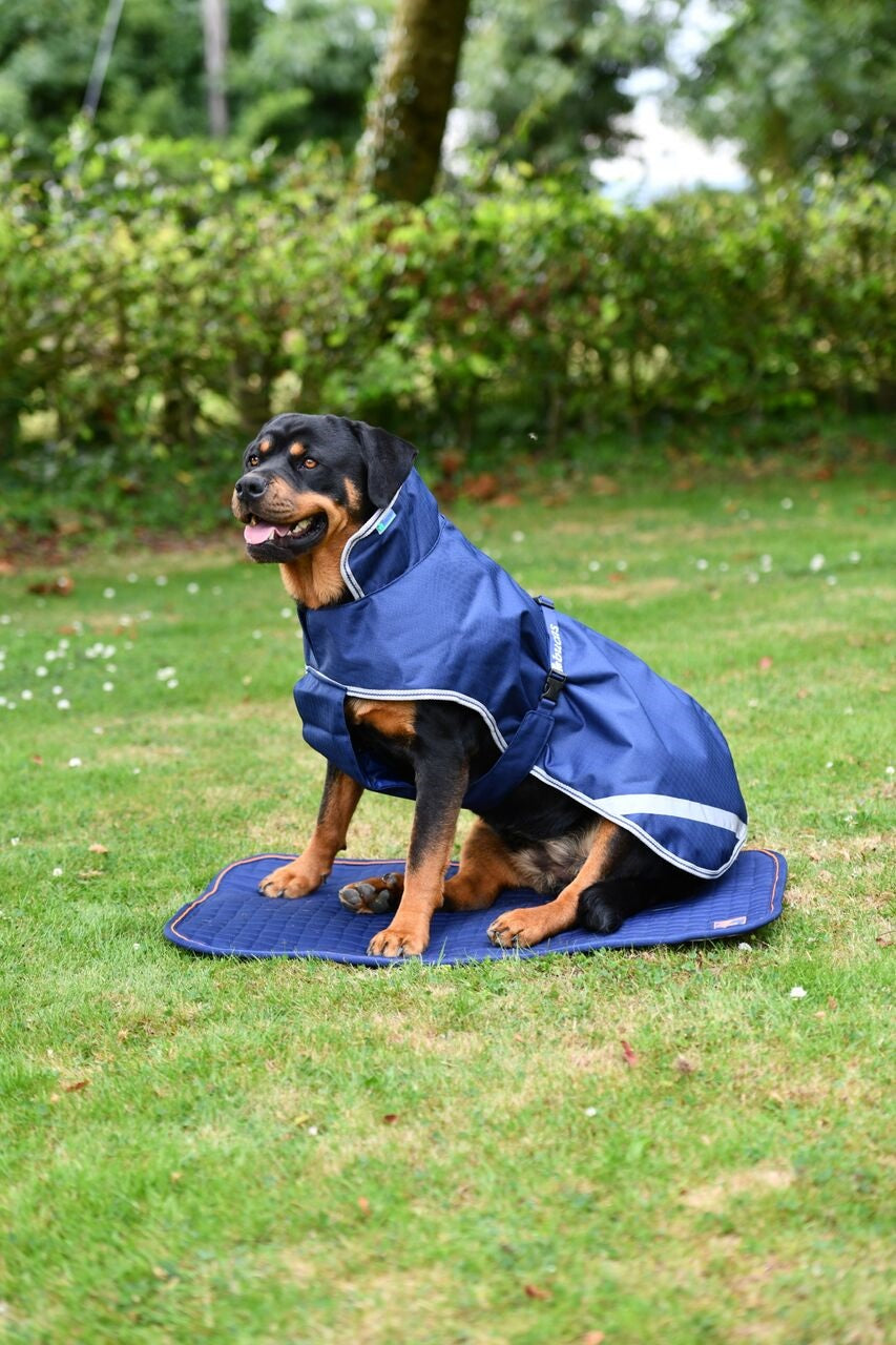 BUCAS THERAPY DOG BED- Navy/Orange-51- S