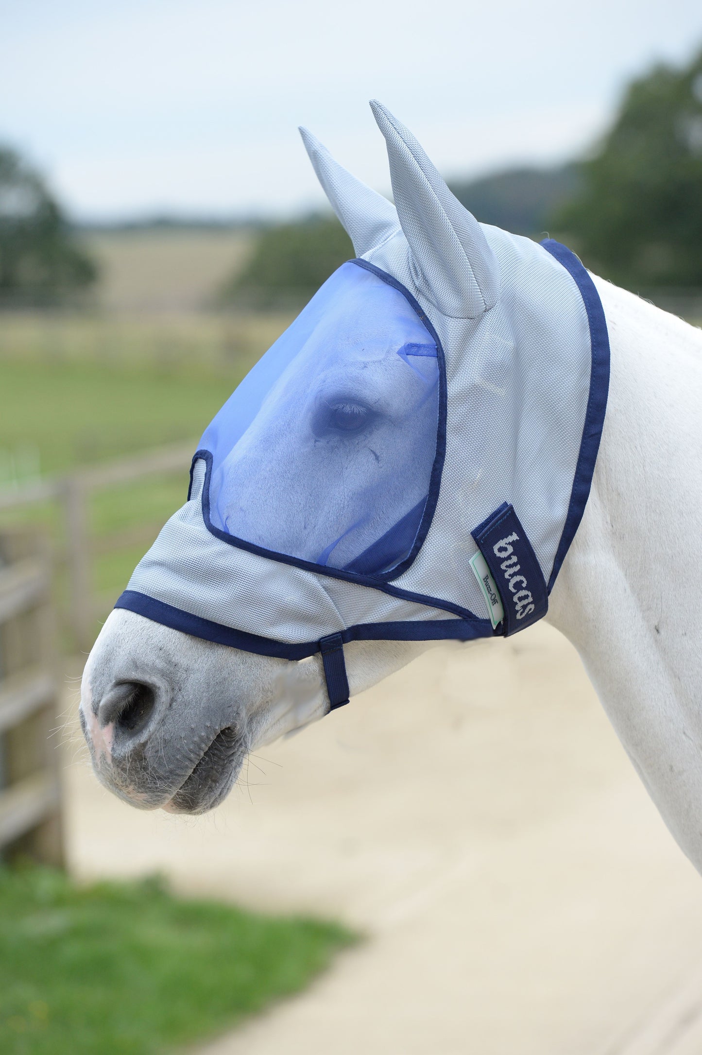 Buzz-Off de Luxe fly mask- with ears- Blue-02- XL