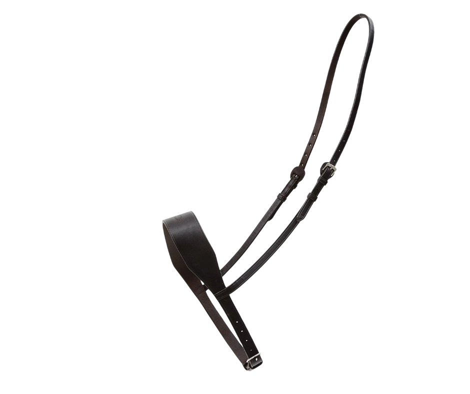 2" Noseband