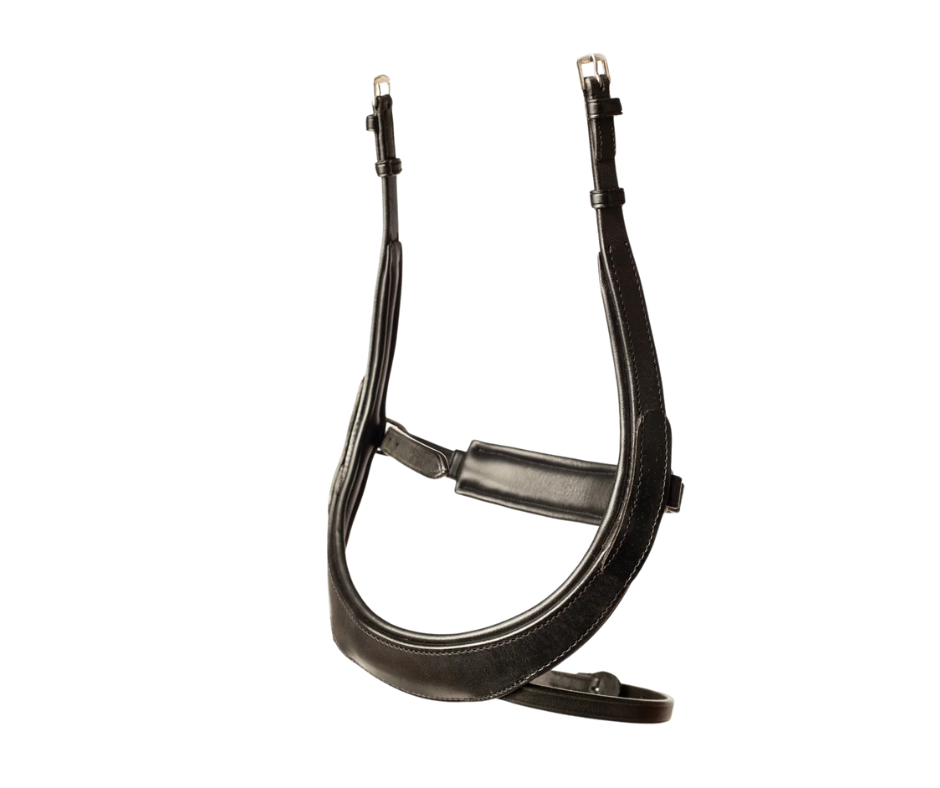 Anatomic Noseband