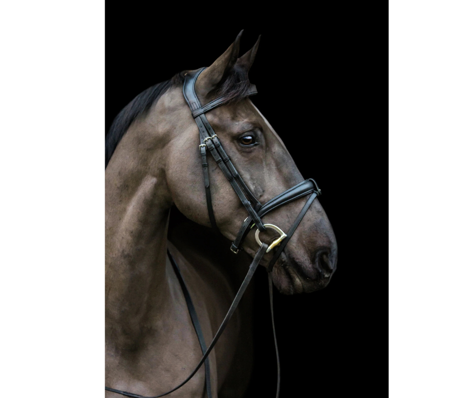 Ecosoft Luxe Noseband
