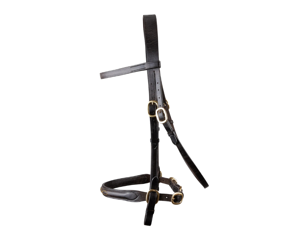 Classic In hand Bridle