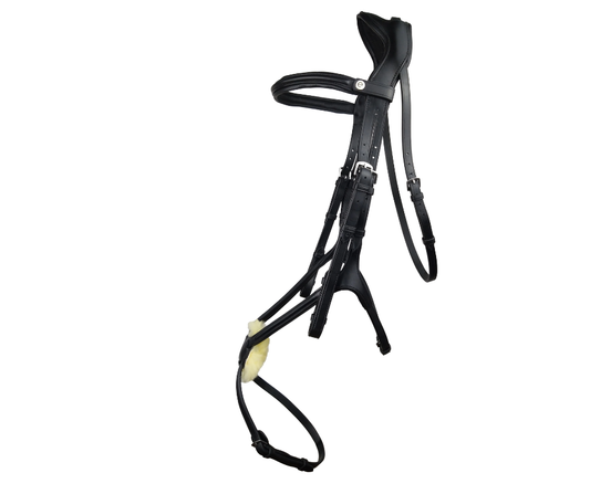 Freedom Grackle Bridle