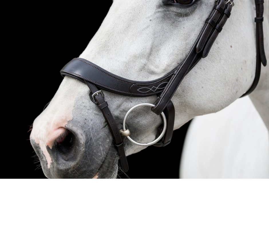 Freedom Comfort Bridle