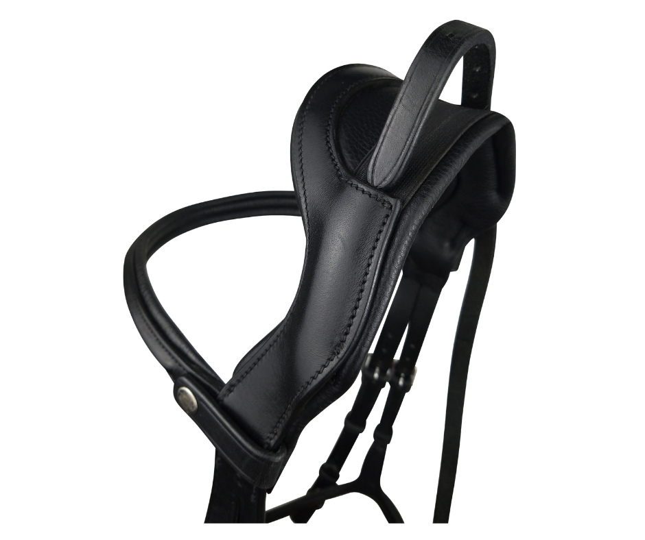 Freedom Grackle Bridle