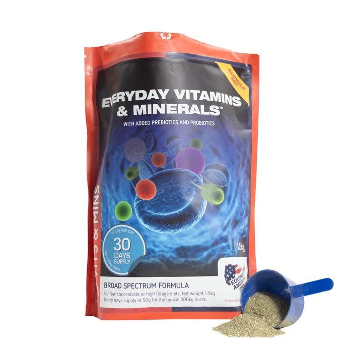 Everyday Vitamin & Mineral Supplement