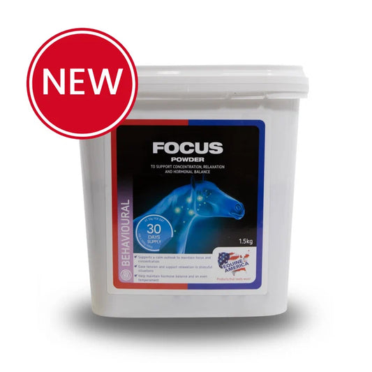 Focus Powder