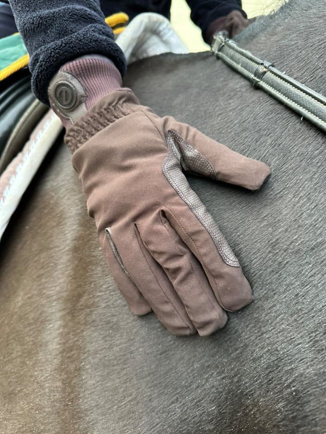 eQUEST Waterproof Riding & Yard Gloves – Brown | Warm, Grippy & Touchscreen