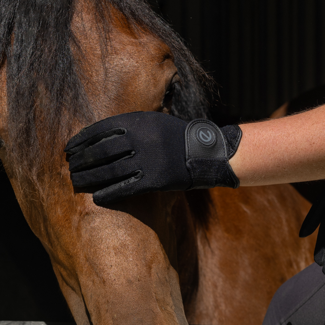 eQUEST GripPro X-LITE Riding Gloves - Black Regular Cuff