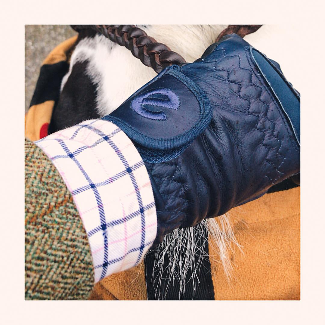 eQUEST GripPro Leather Touchscreen Riding Gloves - Navy Blue | Classic English Style