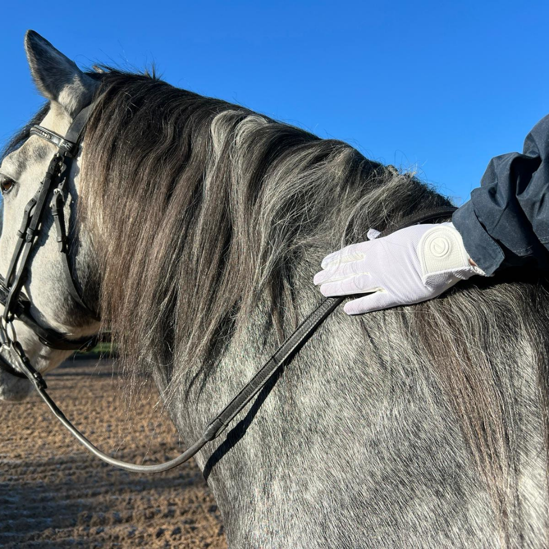 eQUEST GripPro X-LITE Riding Gloves - White Regular Cuff