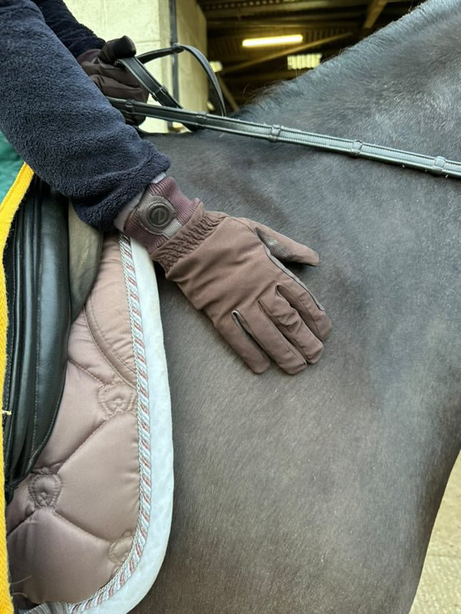 eQUEST Waterproof Riding & Yard Gloves – Brown | Warm, Grippy & Touchscreen
