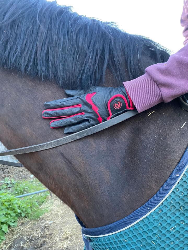 eQUEST GripPro LITE V3 Lightweight Riding Gloves – Black / Red | Lightweight, Grippy & Breathable