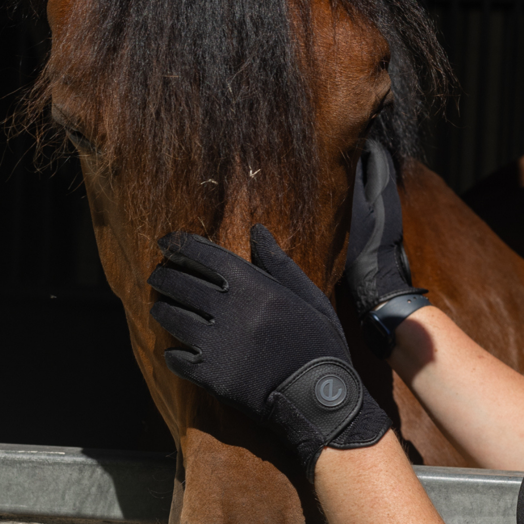 eQUEST GripPro X-LITE Riding Gloves - Black Regular Cuff
