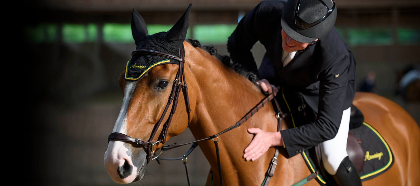 AMERIGO FLY VEIL - Black - One size