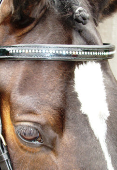 Patent Browband with Swarovski Crystals - Black - Double Cob