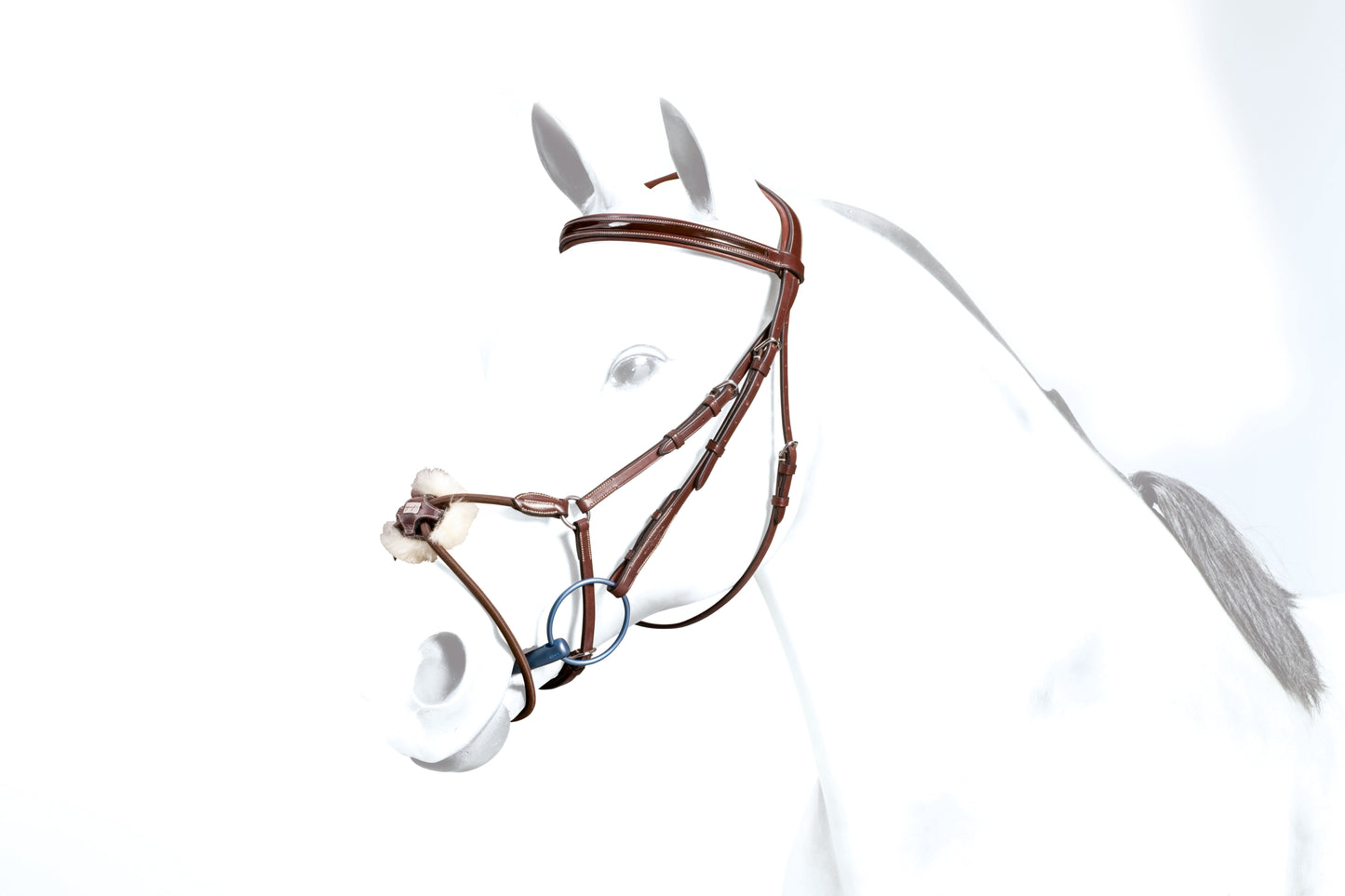 GRACKLE PATENT BROW- ELASTIC NBAND- Black- Cob