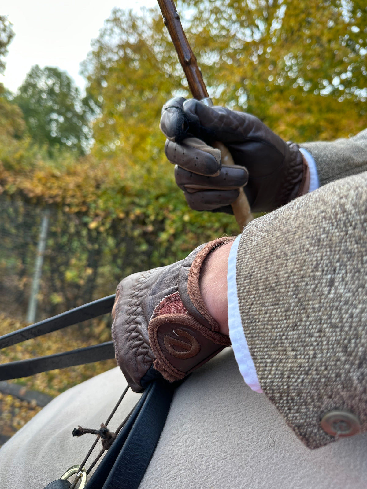 eQUEST GripPro Leather Touchscreen Riding Gloves - Chocolate Brown | Classic English Style