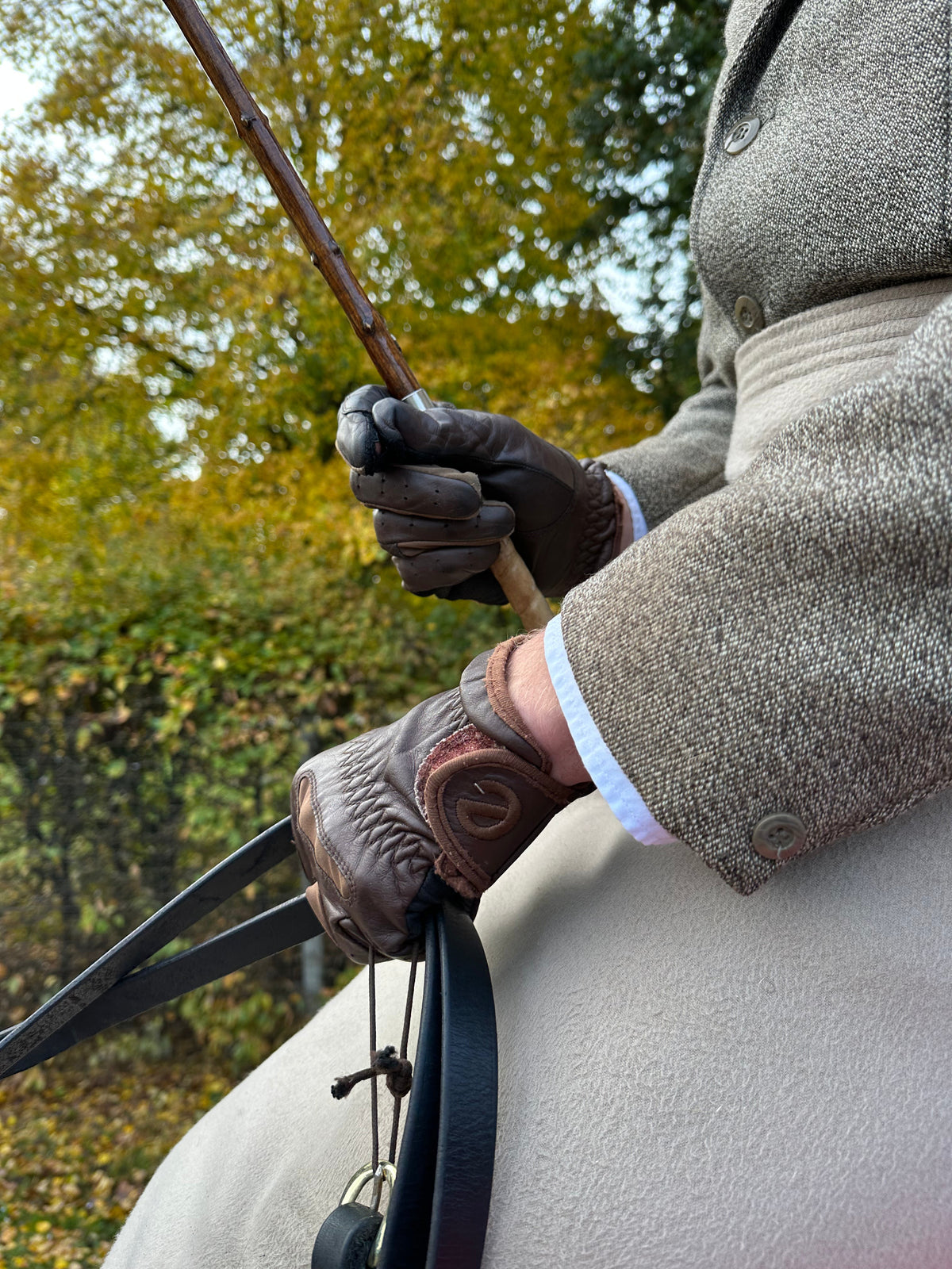 eQUEST GripPro Leather Touchscreen Riding Gloves - Chocolate Brown | Classic English Style
