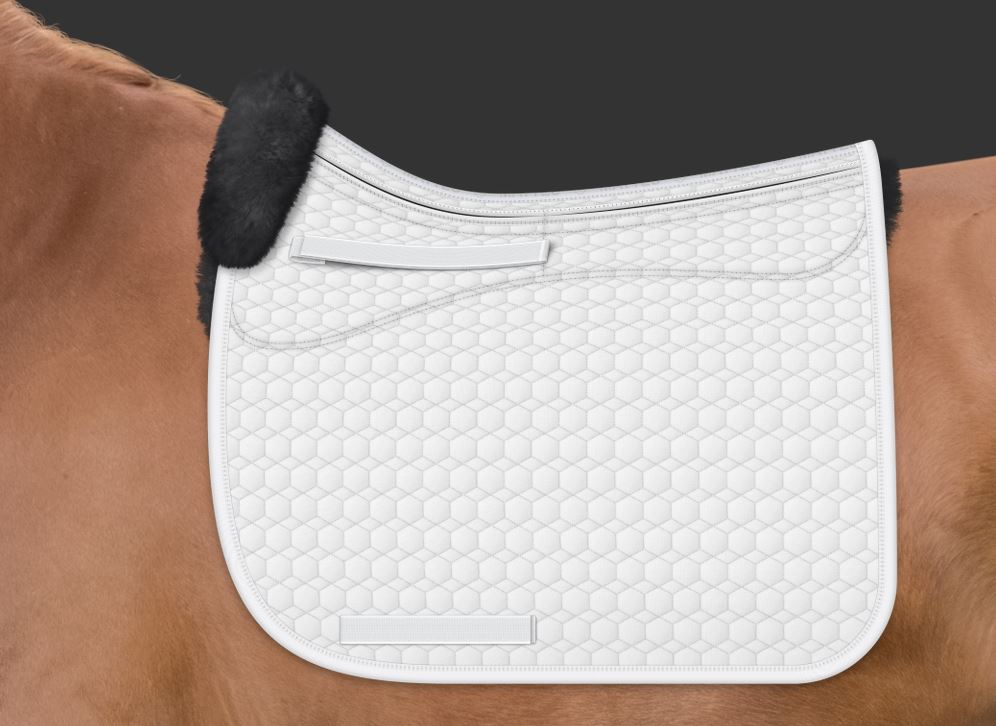 SQUARE SP DR FR+PANELS- 02 (Black)- 22 Black