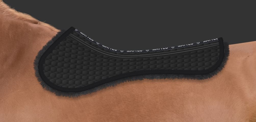 HALF PAD SJ L/S PANELS 2PCK COR- 13 (Graphite)- 34 Graphite