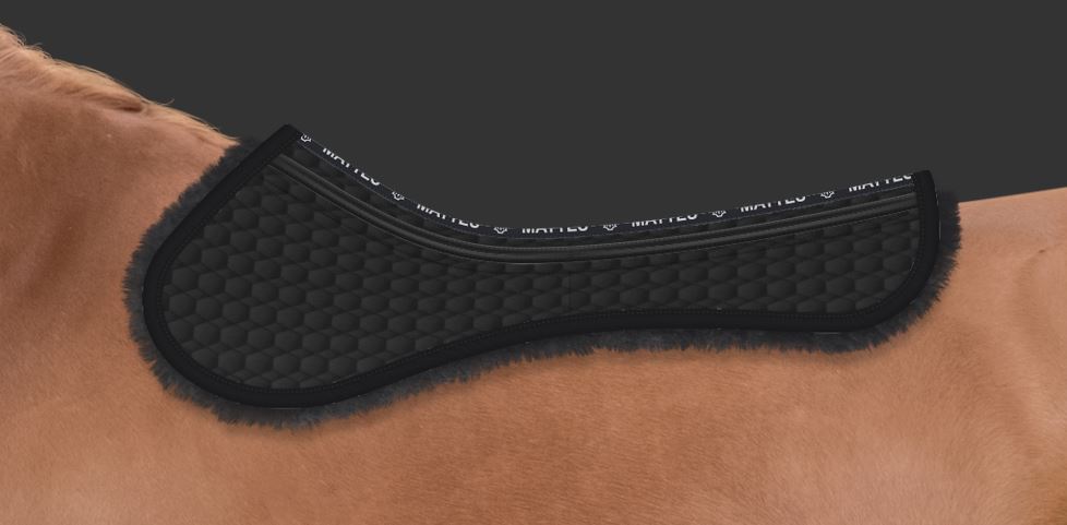 HALF PAD VS L/S PANELS ONLY 2CK COR- 02 (Black)- 22 Black