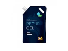 RECUP GEL POUCH 2L